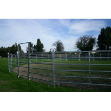 Galvanized Pipe Horse Fence